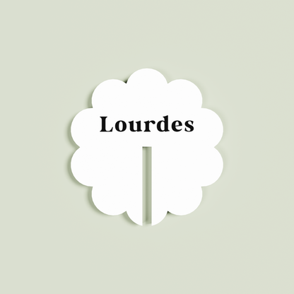 Buttercup acrylic drink tag in clear | Saint Sauvant Auckland NZ